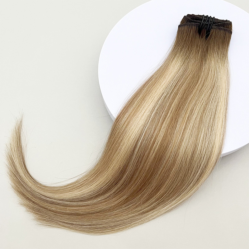 Clip ins - 20 inches BA6#