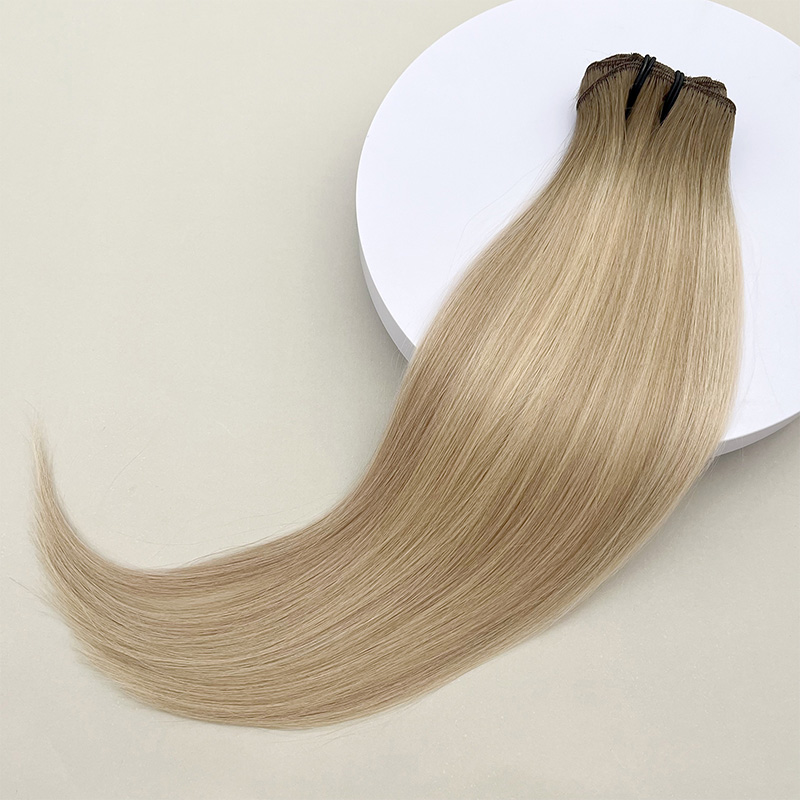 Clip ins - 20 inches BA9#